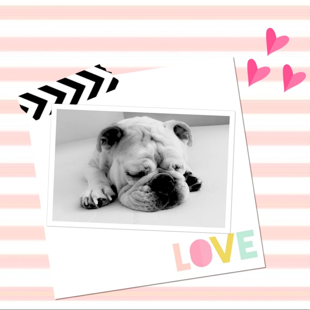 Meet your Posher, Paula